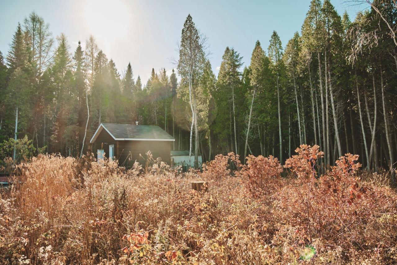 Вилла Le Refuge Saint-Henri-de-Taillon Экстерьер фото